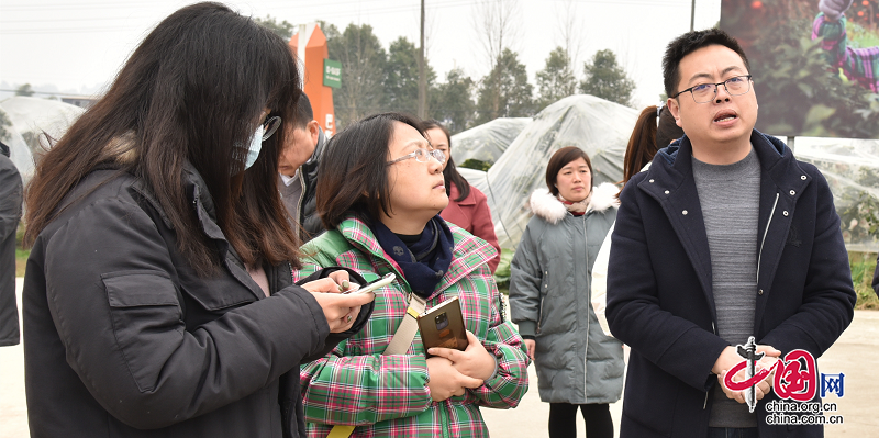 半岛体育眉山市东坡区：老产区如何持续迸发新活力？(图2)