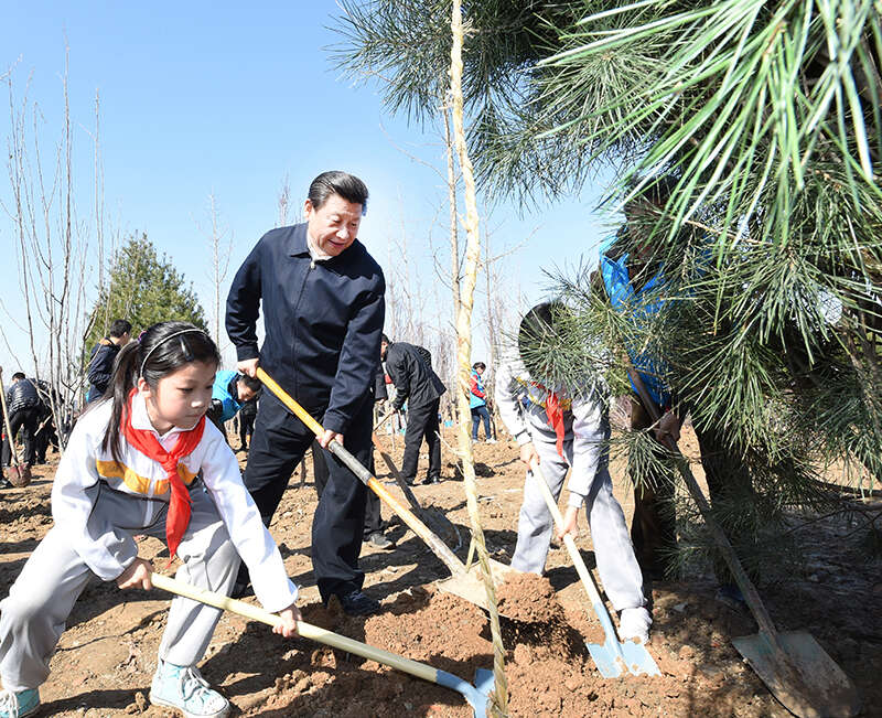 半岛(中国)体育·官方网站“大朋友”为小朋友播撒的三颗“种子”(图3)