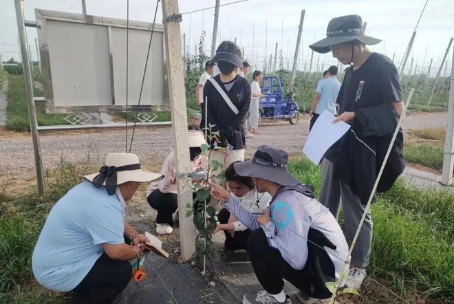 半岛体育西北农林科技大学、甘肃农业大学相关专家团队入驻灵台苹果“两个试验示范中心(图2)