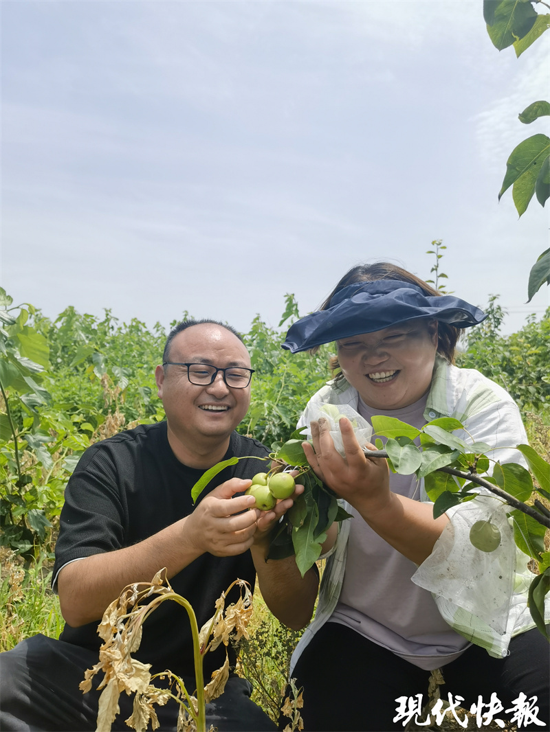 半岛(中国)体育·官方网站乡村直播间｜夫妻辞职回乡种树高温天钻进桑树林直播备战“(图6)