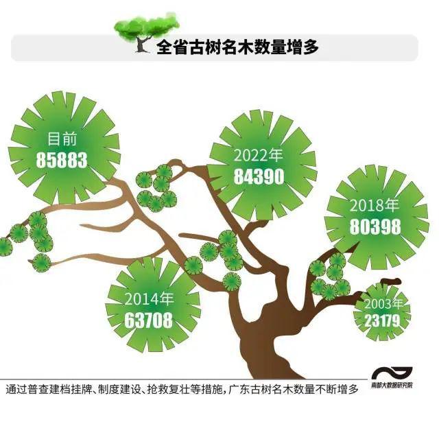 半岛(中国)体育·官方网站湛江古树名木超7000株数量居全省第五！树龄最老的是…(图1)