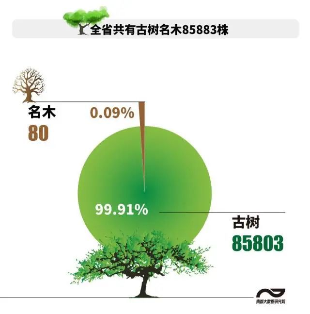 半岛(中国)体育·官方网站湛江古树名木超7000株数量居全省第五！树龄最老的是…(图2)