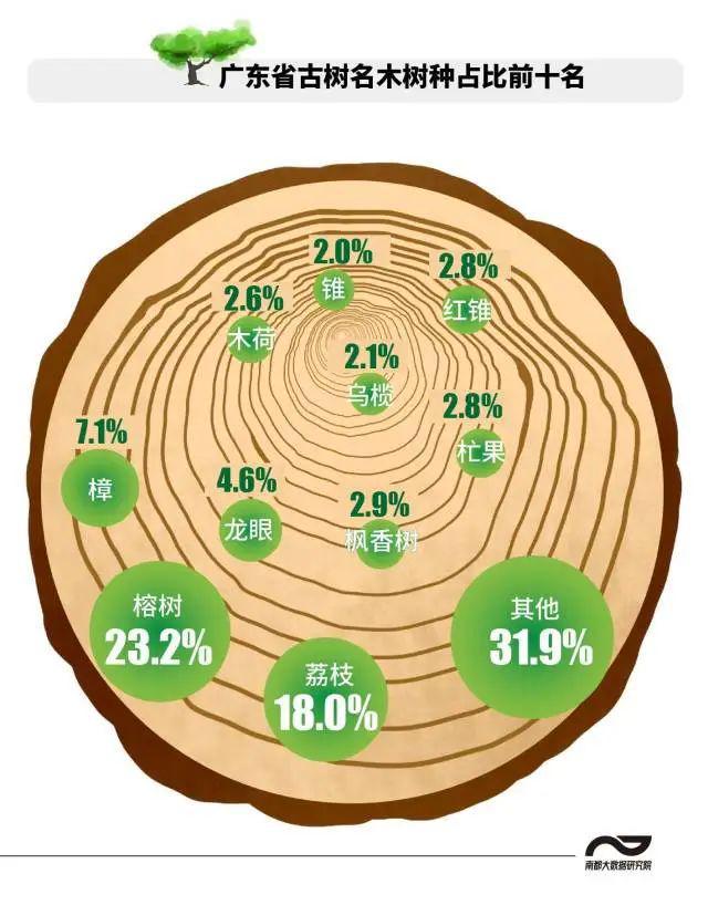 半岛(中国)体育·官方网站湛江古树名木超7000株数量居全省第五！树龄最老的是…(图4)