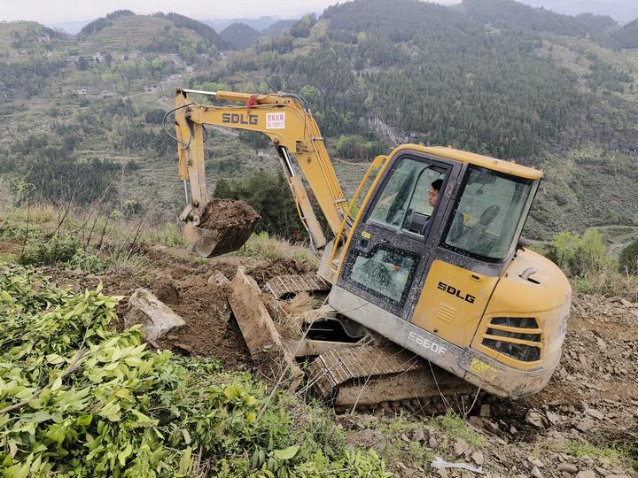 半岛(中国)体育·官方网站铜仁沿河：荒山栽植柑橘 群众笑开颜(图3)