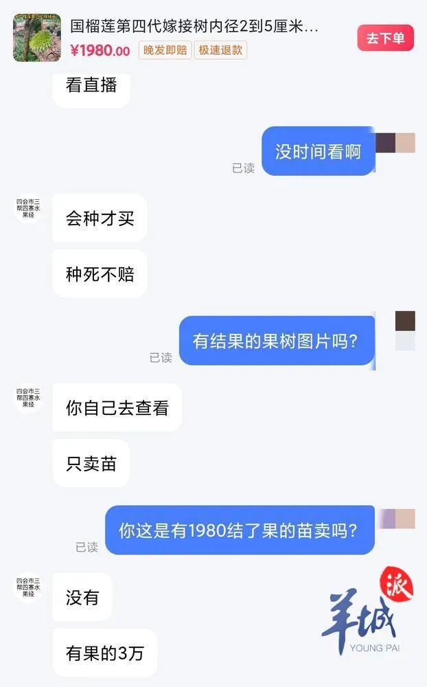 半岛(中国)体育·官方网站榴莲在家也能种？网上卖的榴莲苗真能结果吗？记者调查→(图3)