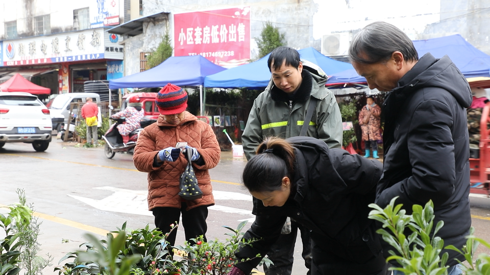 半岛体育道县：春种好时节 苗木市场销售旺(图1)