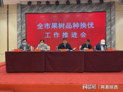 半岛(中国)体育·官方网站渭南 致力推广果业新品种 增强产业核心竞争力(图2)