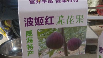 半岛体育视频 大棚种起无花果一斤卖80元名副其实的致富果(图2)