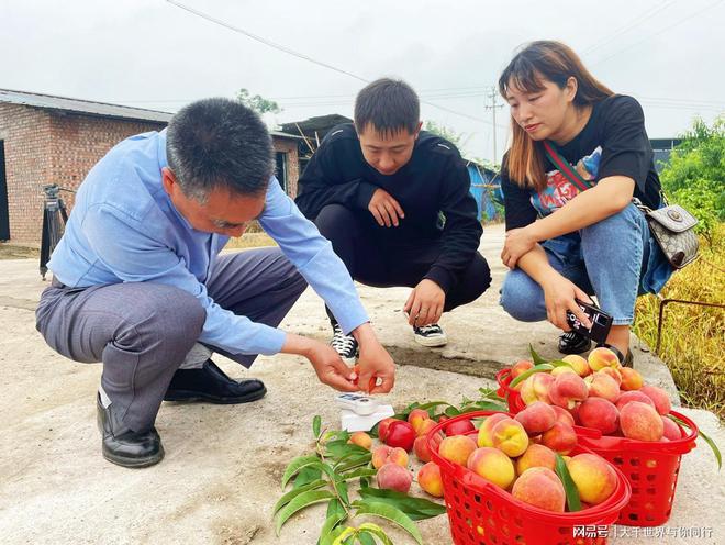 半岛(中国)体育·官方网站铜梁：1园200个品种 这里的桃子邀您来采摘(图5)