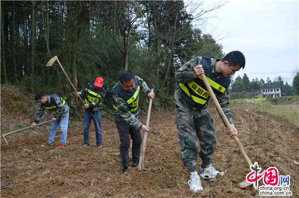 半岛体育湖南桃江：种下果树美家园 扶贫路上一家亲(图1)