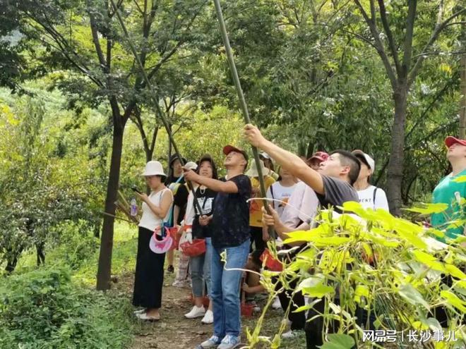 半岛体育湖南水果采摘地图出炉！你找到最可口的秋天鲜果了吗(图4)