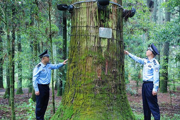 半岛(中国)体育·官方网站“颜值”高“成色”足！这幅以“蓝”护“绿”的画卷等你来(图5)