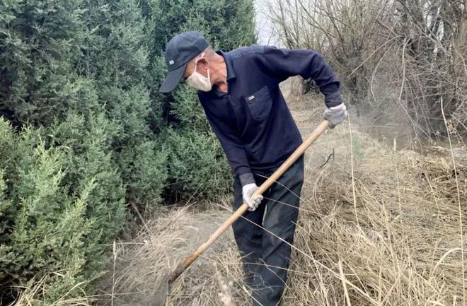 半岛体育紧急求助！乌海农户宋大爷数千株树苗滞销急需关注和转发！(图4)