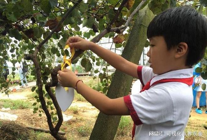 半岛体育云上认养——认养果树农场新机遇！(图2)