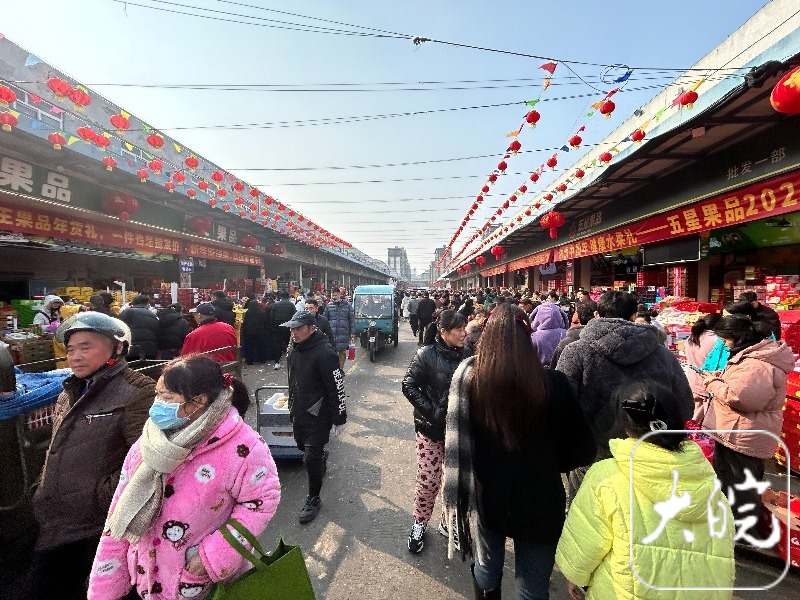 半岛体育合肥周谷堆水果批发市场春节前供销两旺 车厘子和柑橘类水果受热捧(图1)