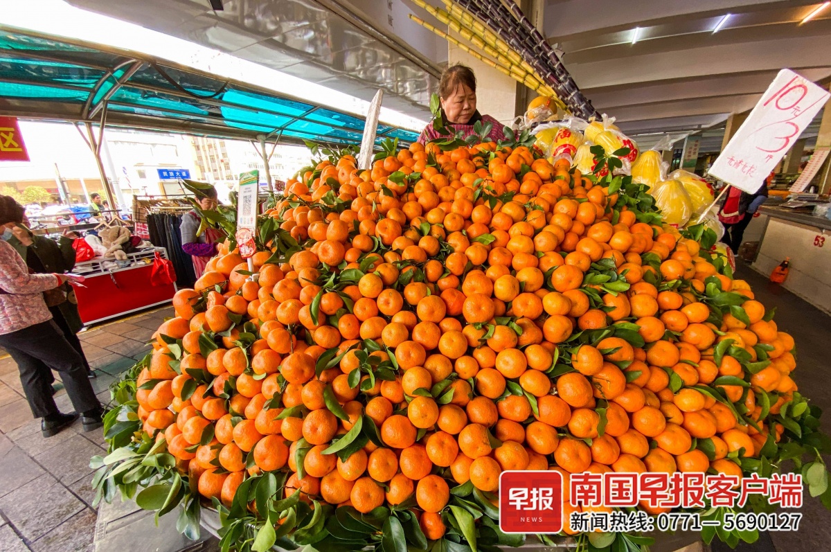 半岛(中国)体育·官方网站北方“大疙瘩”今年的砂糖橘你开“炫”了吗？(图3)