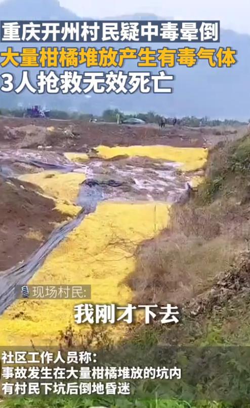 半岛体育重庆6位村民经过柑橘堆3人抢救无效死亡疑似气体中毒？(图2)