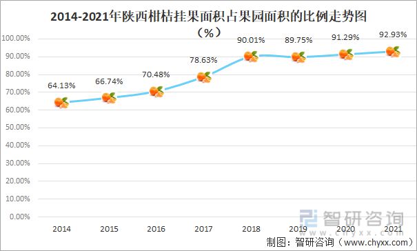 半岛体育2021年陕西柑桔种植生产情况分析：产量达1660公斤亩(图2)