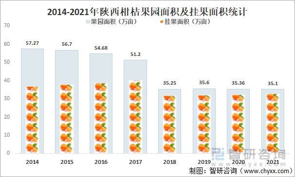 半岛体育2021年陕西柑桔种植生产情况分析：产量达1660公斤亩(图1)