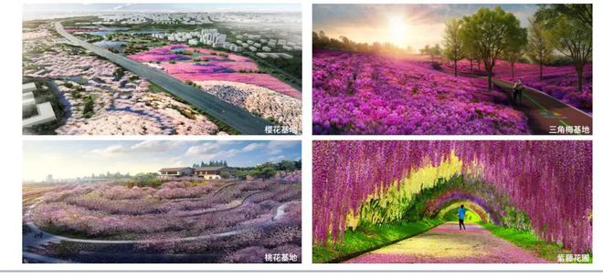 半岛(中国)体育·官方网站水杉、红枫、蓝花楹……70多种植物“织”出锦城绿道二期(图4)