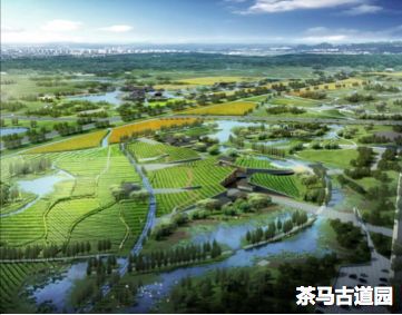 半岛(中国)体育·官方网站水杉、红枫、蓝花楹……70多种植物“织”出锦城绿道二期(图5)