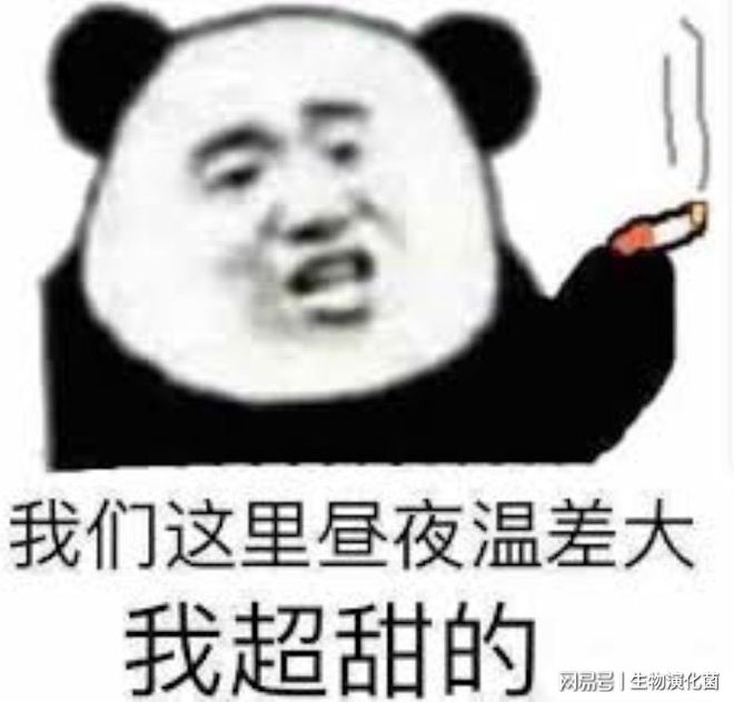 半岛体育柑橘类水果的演化关系：乱就一个字(图9)