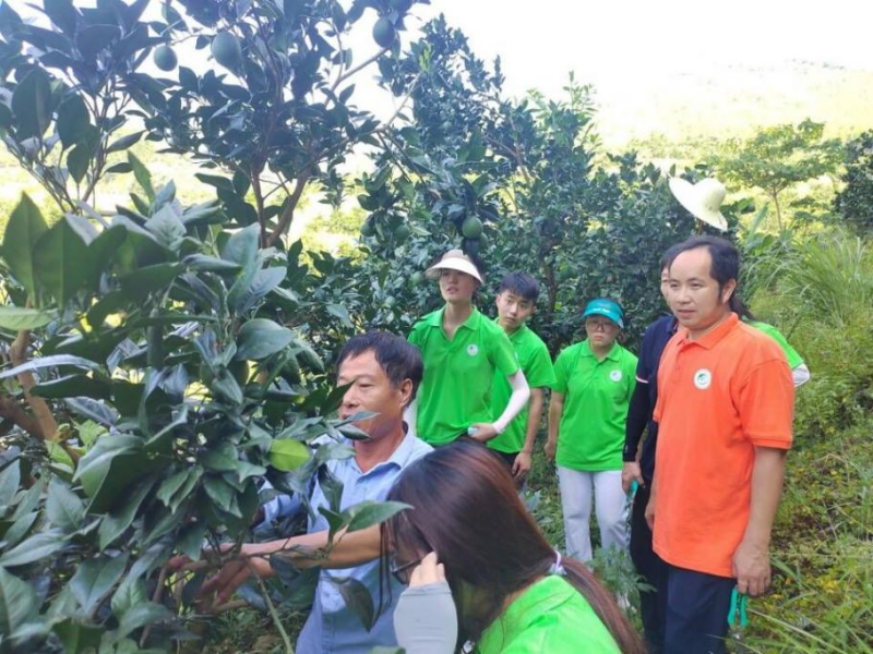 半岛(中国)体育·官方网站福建尤溪柑橘科技小院：扎根梯田破解柑橘产业难题(图3)