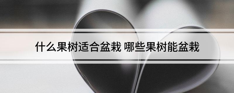 半岛(中国)体育·官方网站什么果树适合盆栽(图1)