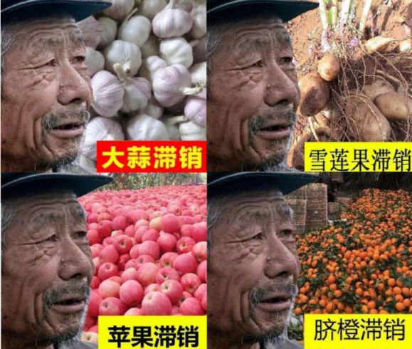 半岛体育生物植调剂：植物调节剂的冠菌素究竟能带给我们什么？(图1)