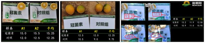 半岛体育生物植调剂：植物调节剂的冠菌素究竟能带给我们什么？(图4)