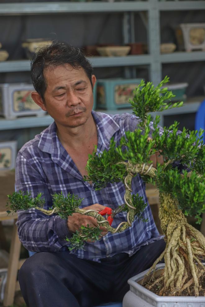 半岛(中国)体育·官方网站走进花果苗木之乡洪阳镇探索“万花园”花木致富的产业密码(图7)