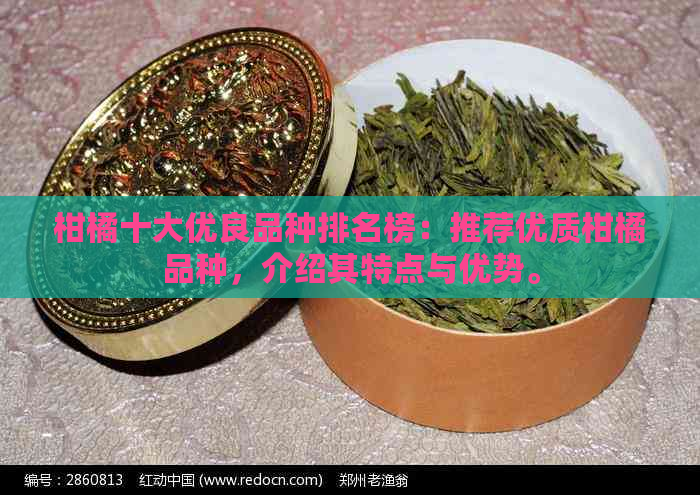 半岛体育柑橘十大优良品种(图4)