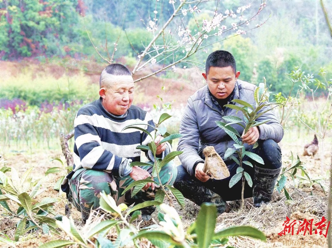 半岛(中国)体育·官方网站岳阳经开区：花果山有了“新大王”(图3)