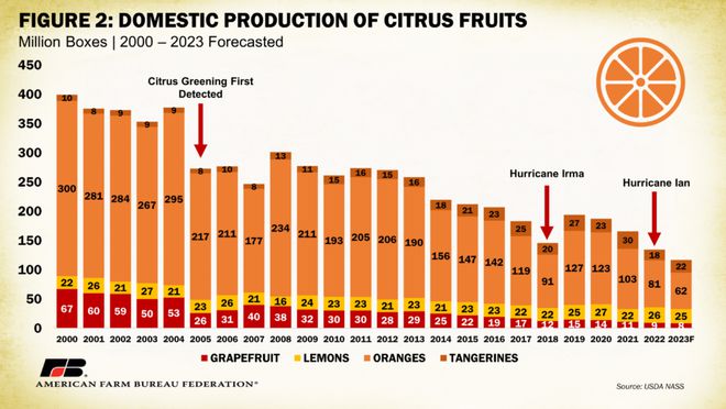 半岛体育橙子产量锐减八成美国已成柑橘净进口国！(图2)