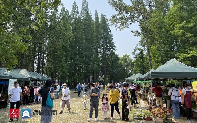 半岛体育超火爆！青岛首个园艺市集今日在中山公园试运营(图2)