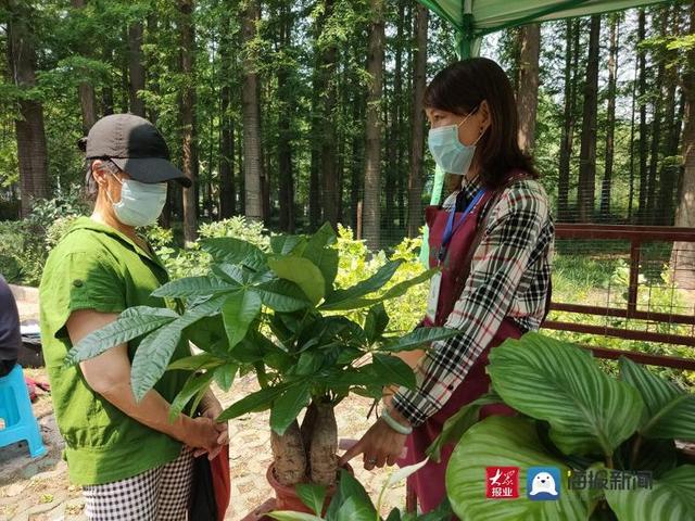 半岛体育超火爆！青岛首个园艺市集今日在中山公园试运营(图5)