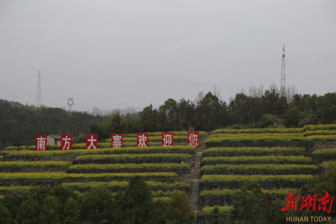 半岛(中国)体育·官方网站发展旱杂粮 以“复合”推动“富获” ——硒有慈利产业化(图1)