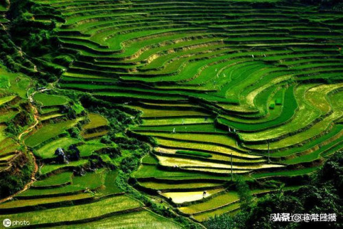 半岛体育世界各国耕地面积排行榜美国第一中国第三印度居然第二(图1)