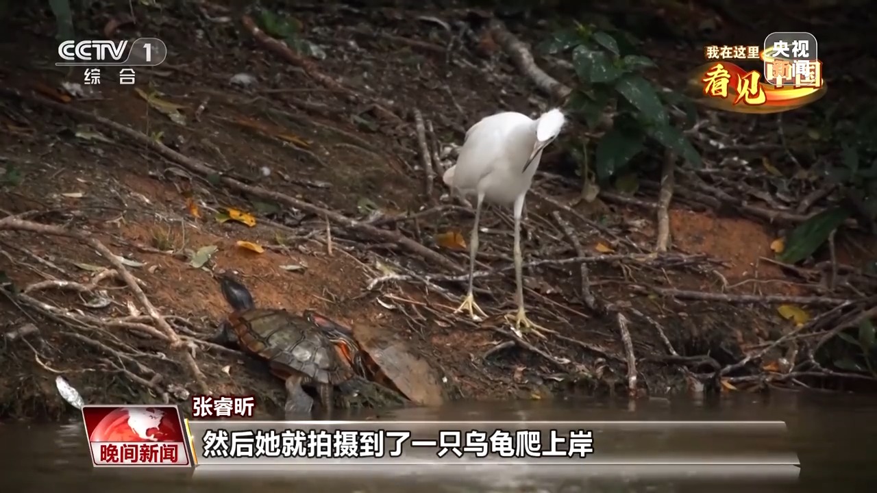 半岛体育我在这里看见中国丨走遍名山大川 他用镜头记录这片土地的美(图11)