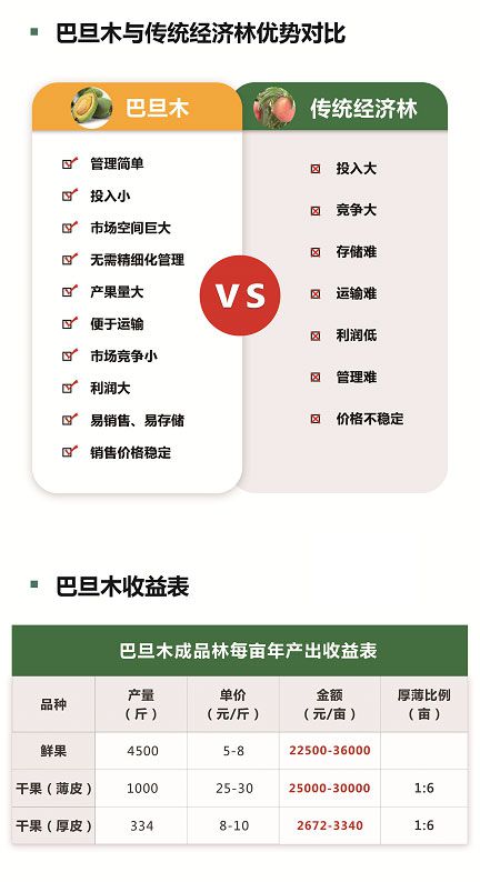 半岛体育宁夏适合种植巴旦木树苗吗？巴旦木苗木一亩地需要投入多少？(图2)