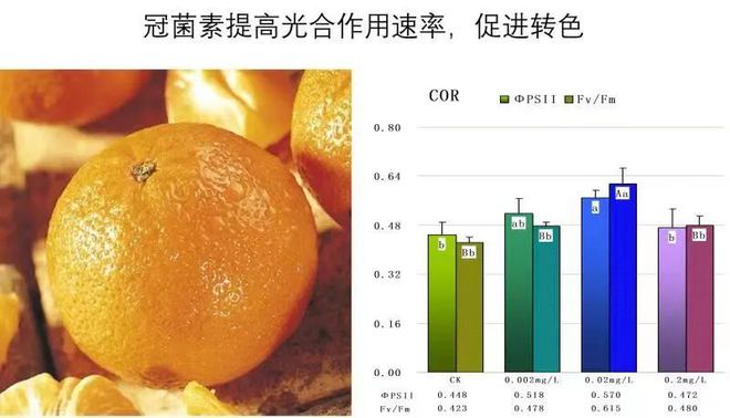 半岛(中国)体育·官方网站柑橘市场竞争愈发激烈果农何如提升竞争力！(图4)