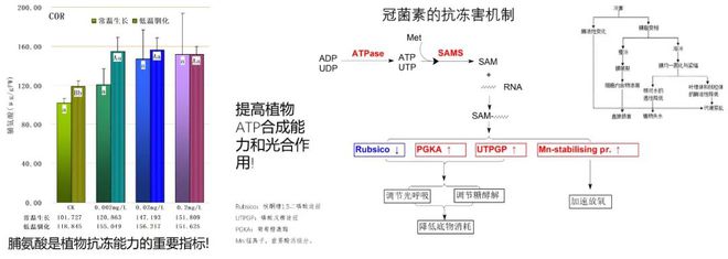 半岛(中国)体育·官方网站柑橘市场竞争愈发激烈果农何如提升竞争力！(图6)